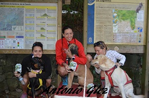 15135802_10209731910248237_3044499356229350555_n