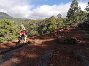 WhatsApp Image 2021-04-19 at 13.05.12